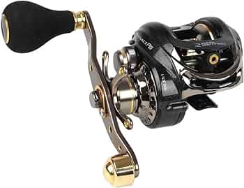 61RNx+AhBYL._AC_UF350,